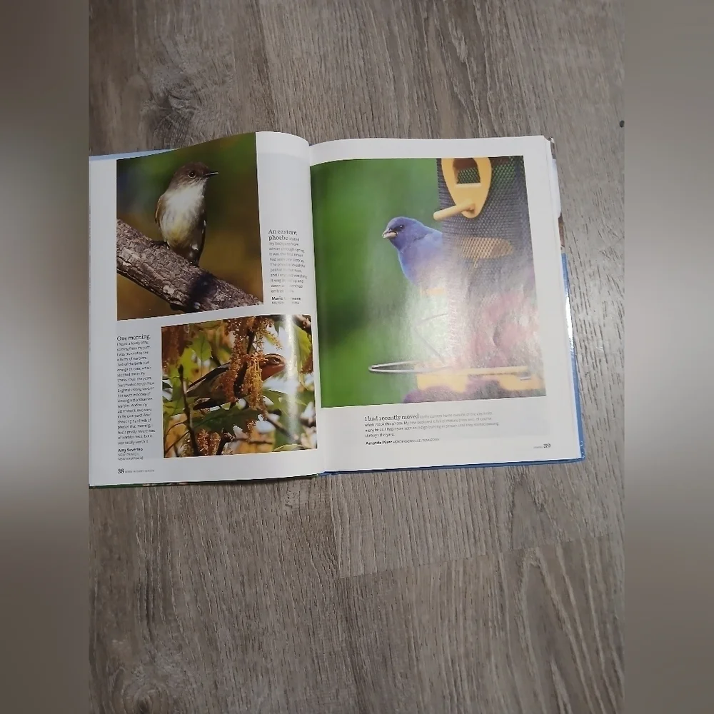 'Birds in Every Season' Book - By Birds And Bloom. 300+ Bird Photos.